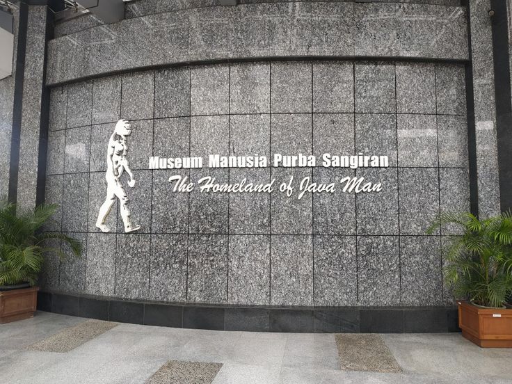 Museum Sangiran - Foto 1