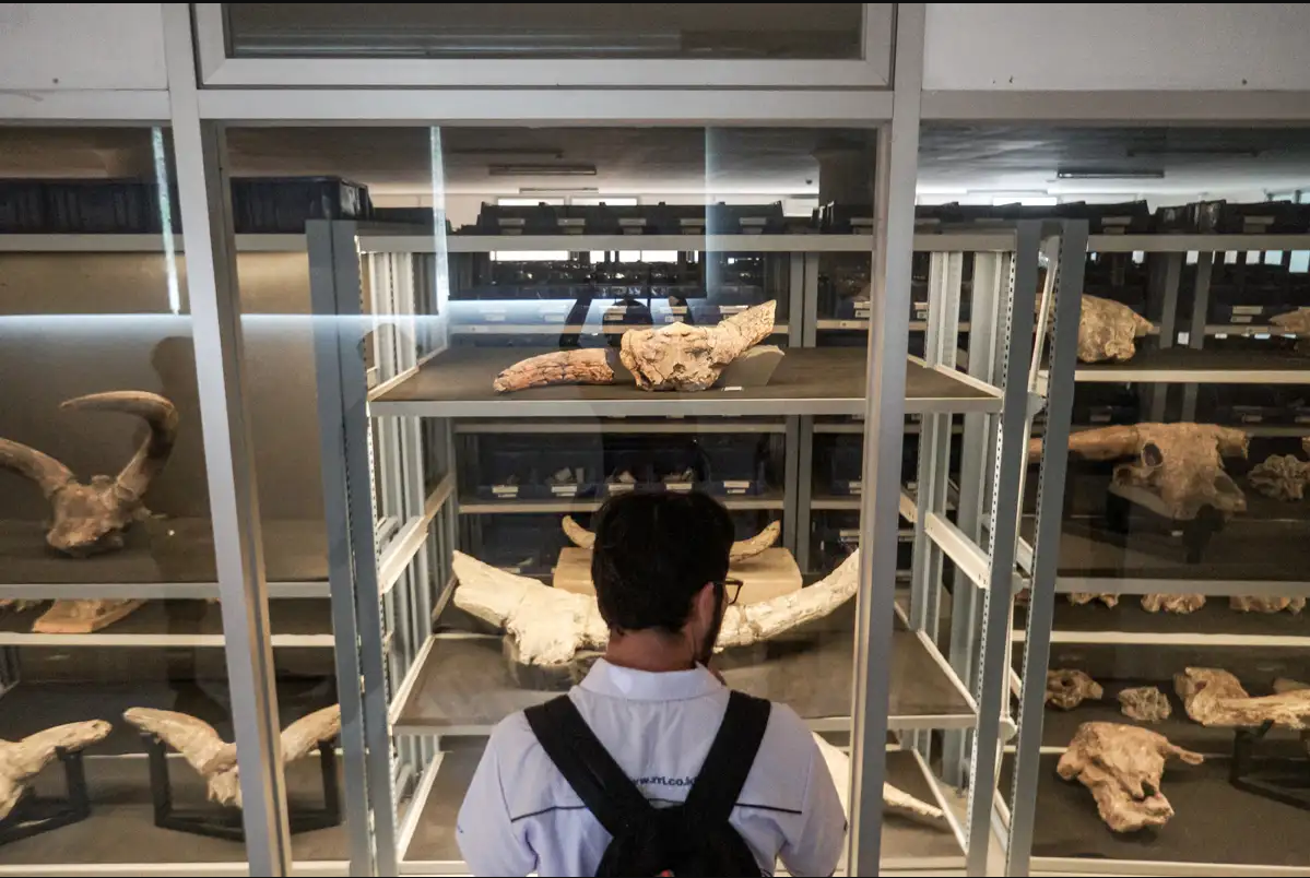 Museum Bukuran - Foto 1